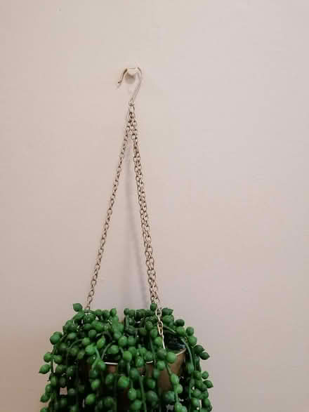 Photo of free Artificial plant with a hanging bas (Dublin 1) #3
