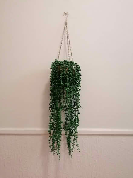 Photo of free Artificial plant with a hanging bas (Dublin 1) #2