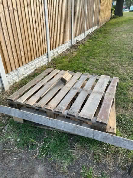 Photo of free Wooden Pallets (B37 5HP) #1