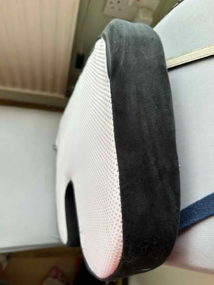 Photo of free Seat pad (ME17 Boughton monchelsea) #3
