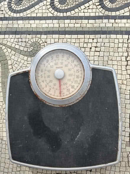 Photo of free Salter scales for humans (Warden Hill GL51) #2