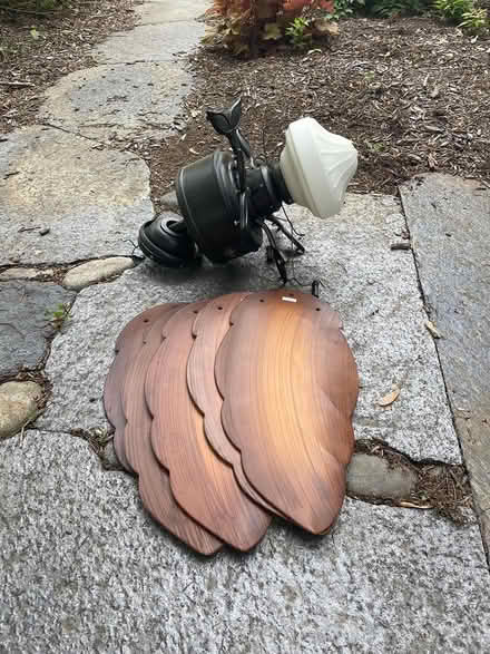 Photo of free Ceiling Fan (Central Amherst) #1