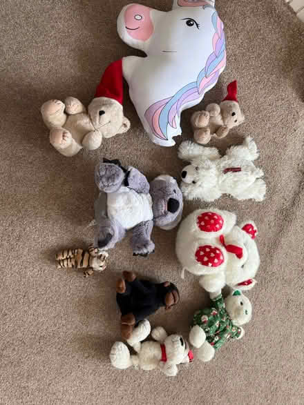 Photo of free Stuffed toys (Frodsham WA6) #2