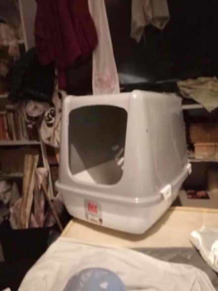 Photo of free Cat litter box (Dorchester DT1) #1