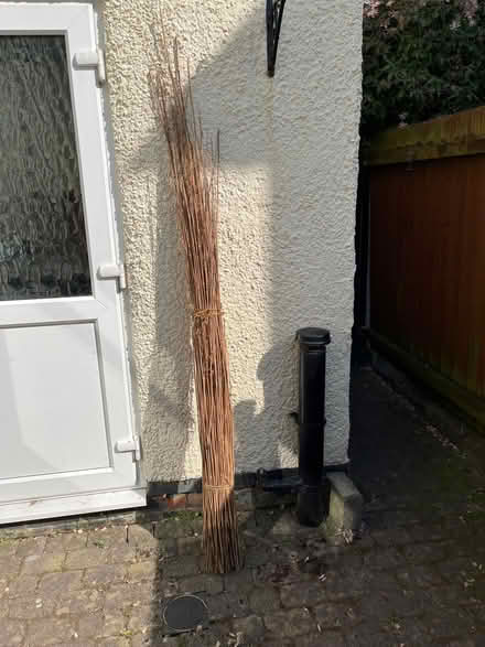 Photo of free Bundle of bamboo canes (Upton CH49) #1