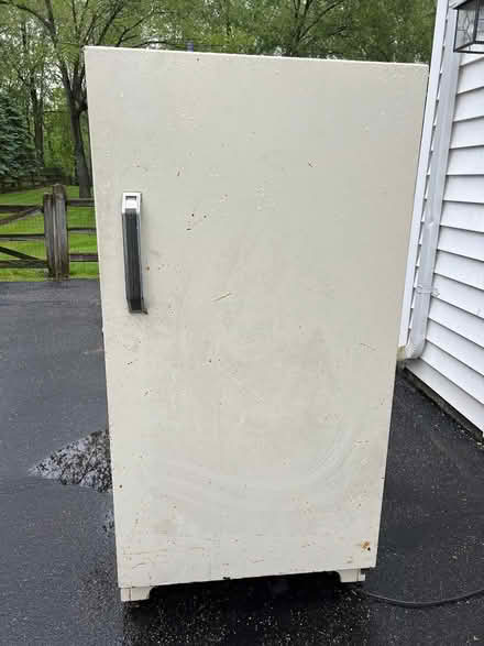 Photo of free freezer upright (New Hudson) #1