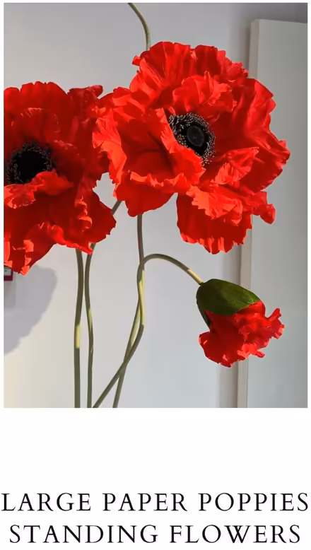 Photo of Giant poppies VFW Post 1602 (Batavia, NY) #1