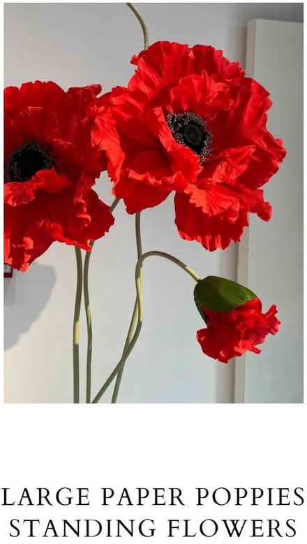 Photo of Giant poppies VFW Post 1602 (Batavia, NY) #1