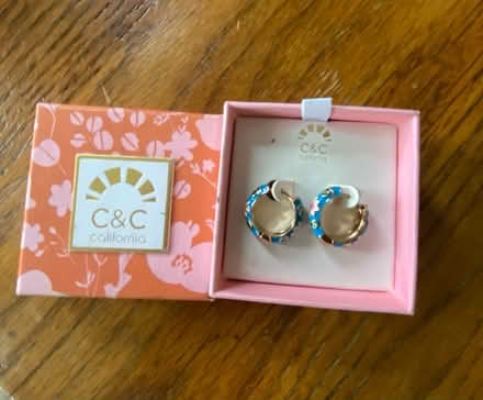Photo of free BRAND NEW tropical hoop earrrings (New Rochelle) #1
