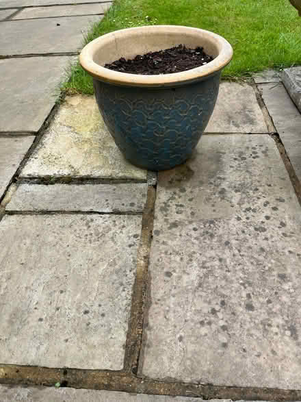 Photo of free Garden tubs/pots (Little Common TN39) #1