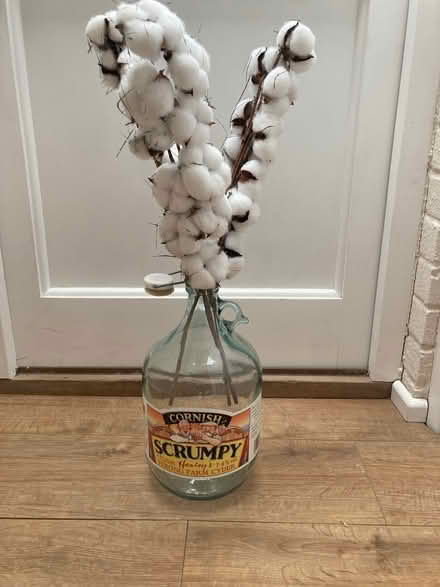 Photo of free Large glass bottle (Ipswich IP3) #1