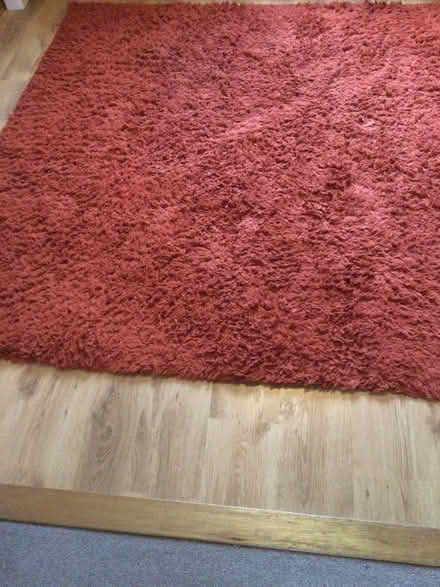 Photo of free Large rug (Stanley PH1) #2