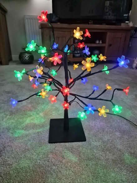 Photo of free Table light (Westhampnett) #2