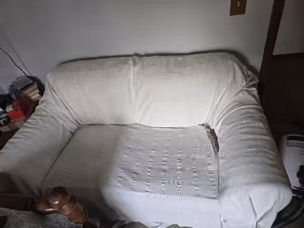 Photo of free Living Room Furniture will Deliver (Rush) #2