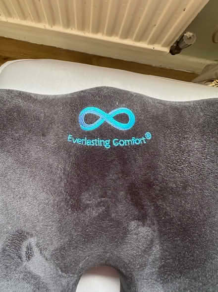 Photo of free Seat pad (ME17 Boughton monchelsea) #1