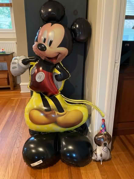 Photo of free Huge Mickey Baloon (Havertown) #1