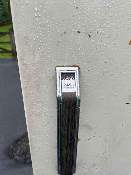 Photo of free freezer upright (New Hudson) #2