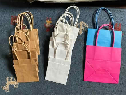 Photo of free Coloured paper gift bags (Goldhanger CM9) #1
