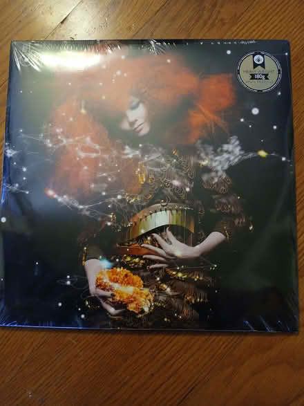 Photo of free LP vinyl record Biophilia by Bjork (Mountain View near downtown) #1