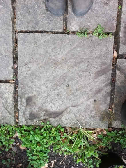 Photo of 4 paving slabs 600mmx600mm (Bathford) #1