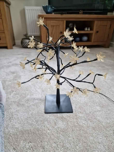 Photo of free Table light (Westhampnett) #1