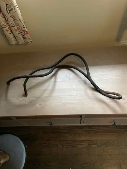 Photo of free Reptile perch (Annapolis (Annapolis (near Quiet Waters)) #1