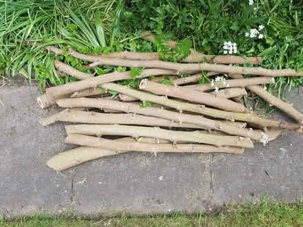 Photo of free logs (Coventry CV1) #1