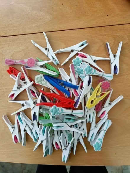 Photo of free Clothes pegs (Eastwood G46) #1
