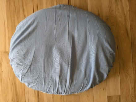 Photo of free Doughnut cushion (Woodstock OX20) #2