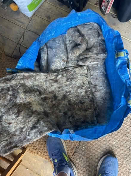 Photo of free Sheep’s Wool from packaging (Dollis Hill (NW10)) #2