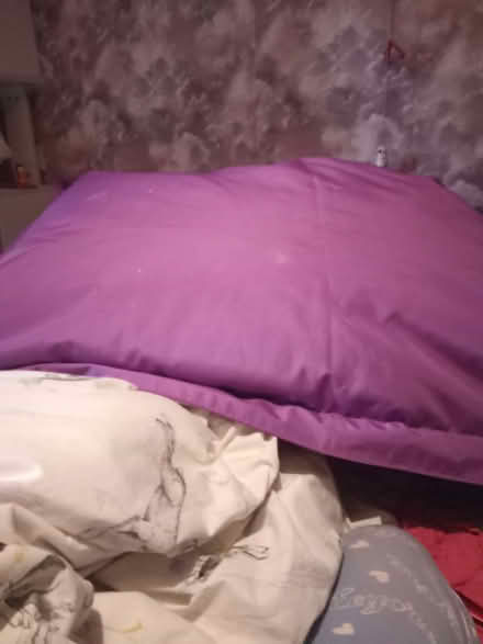 Photo of free Bean bag (Dorchester DT1) #1