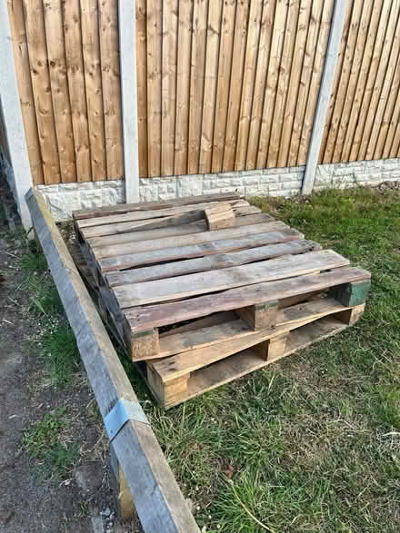 Photo of free Wooden Pallets (B37 5HP) #2