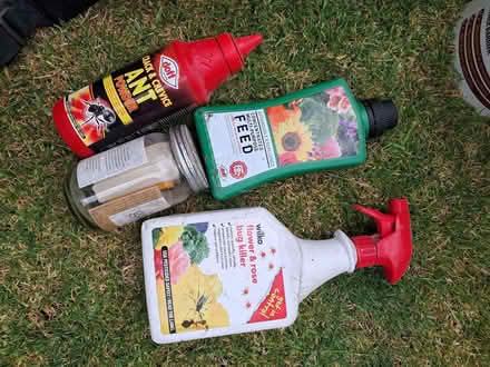 Photo of free Miscellaneous garden stuff (Oldfield Park) #1