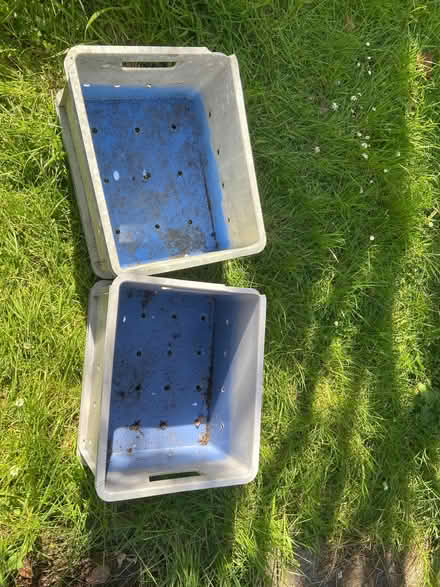 Photo of free Plastic crates (Helensburgh G84) #1