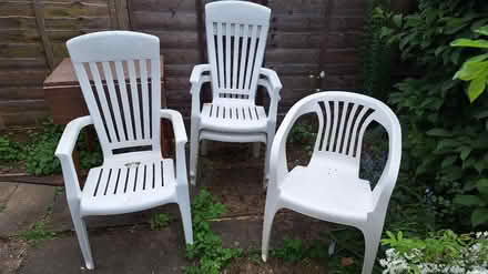 Photo of free Plastic chairs (Ware SG12) #1