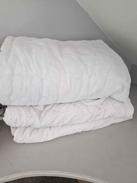 Photo of free 3 x single duvets - pet bedding? (Matlock DE4) #1
