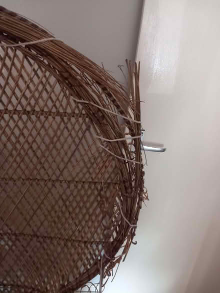 Photo of free Peacock wicker chair (Todmorden OL14) #1