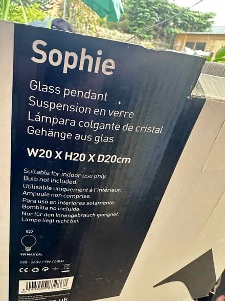 Photo of free 2 pendulum lights (Central Belper DE56) #2