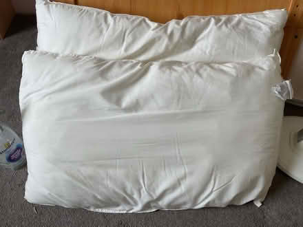 Photo of free 2 pillows (West Hill TN34) #1