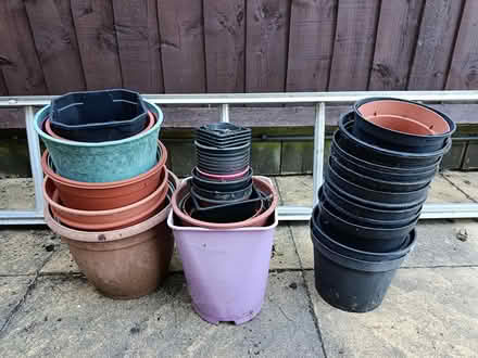 Photo of free Plastic pots (OX3 Wood Farm) #1