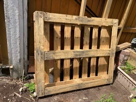 Photo of free Wooden pallet (Levenshulme M19) #2