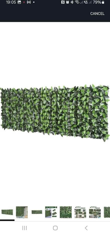 Photo of free Fake ivy fence/ privacy screen (Stamford PE9) #2