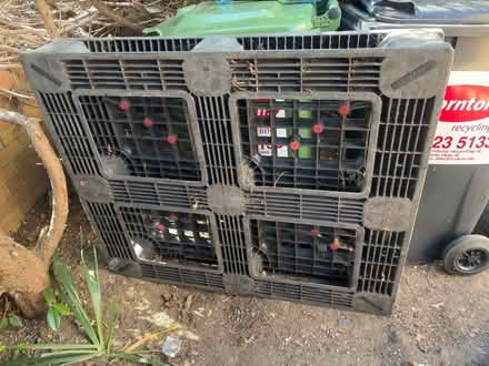 Photo of free Plastic pallet (Bray) #2