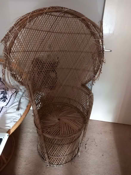 Photo of free Peacock wicker chair (Todmorden OL14) #2