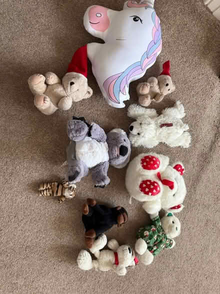 Photo of free Stuffed toys (Frodsham WA6) #1