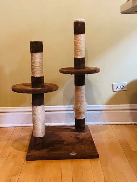 Photo of free Cat scratching posts (South Evanston) #2