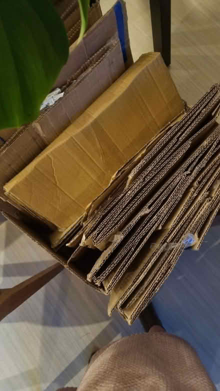 Photo of free Moving boxes and wrapping (Finsbury Park) #1