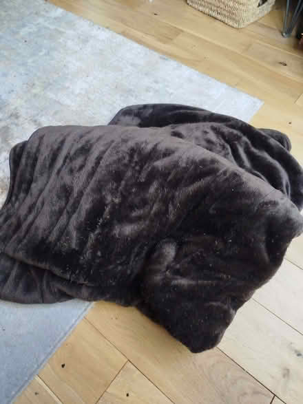 Photo of free Dark brown blanket (Kenton NE3) #1