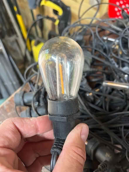 Photo of free Festoon lights (Upper Wolvercote OX2) #2