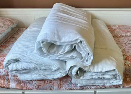Photo of free Suitable for animals: 3 x Duvets (Belper DE56) #1